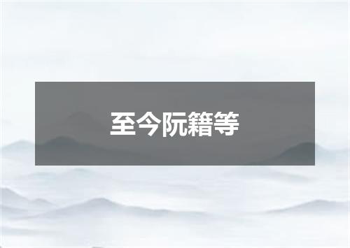 至今阮籍等