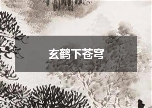 玄鹤下苍穹
