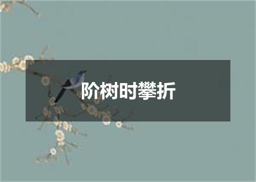 阶树时攀折
