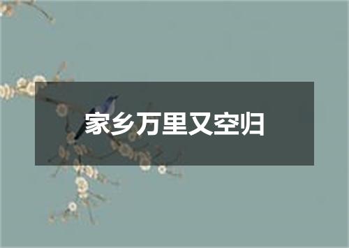 家乡万里又空归