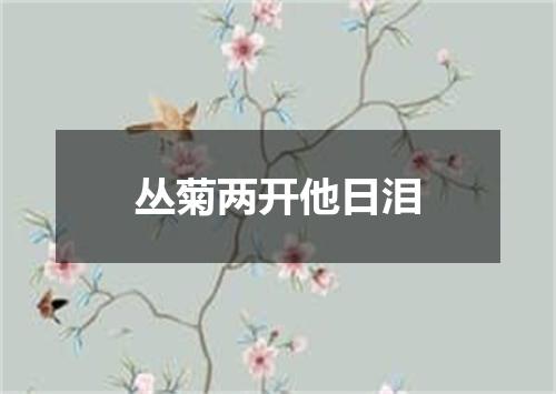 丛菊两开他日泪