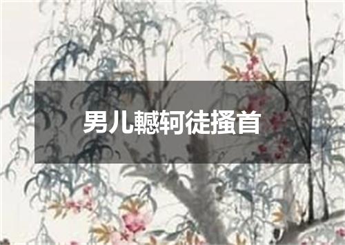 男儿轗轲徒搔首