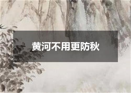 黄河不用更防秋
