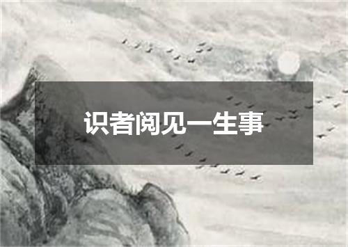 识者阅见一生事