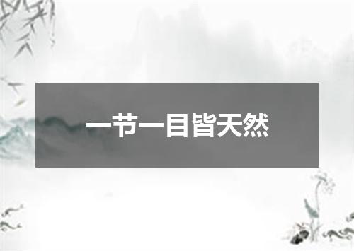 一节一目皆天然