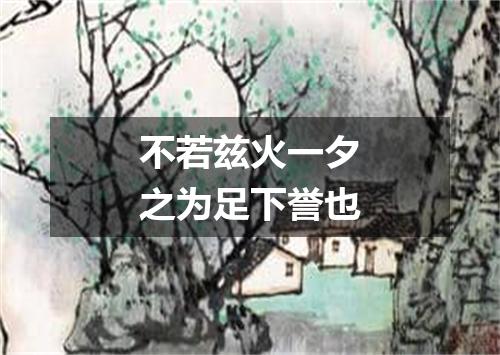 不若兹火一夕之为足下誉也