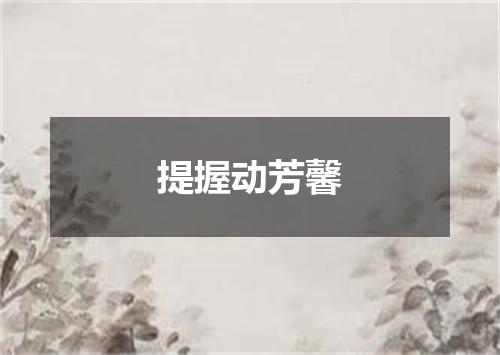 提握动芳馨