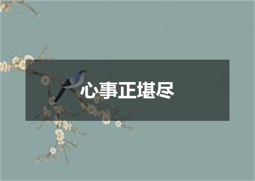 心事正堪尽