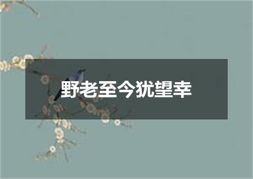 野老至今犹望幸