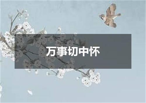 万事切中怀