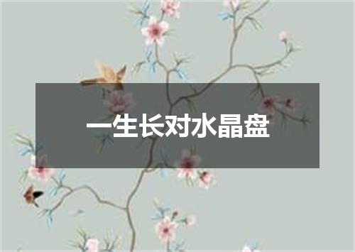 一生长对水晶盘