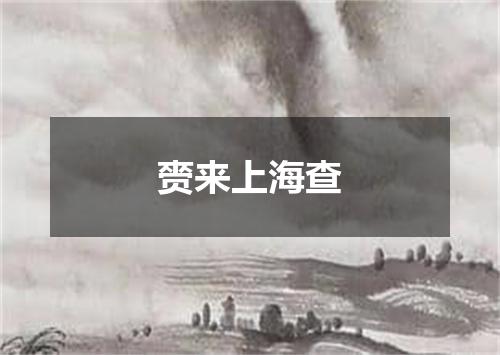 赍来上海查