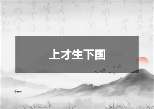 上才生下国