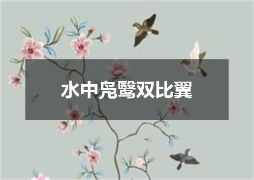 水中凫鹥双比翼