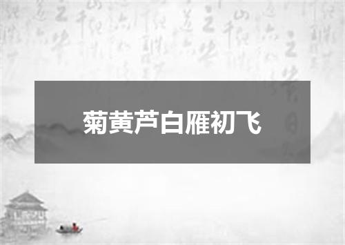菊黄芦白雁初飞