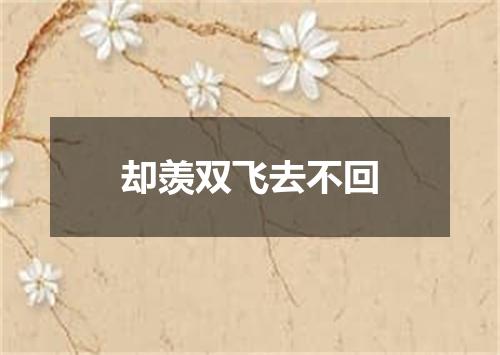 却羡双飞去不回