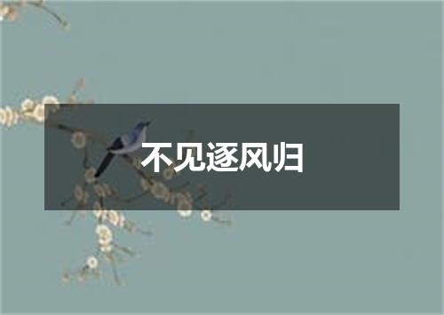 不见逐风归