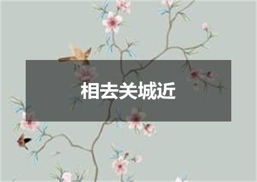 相去关城近
