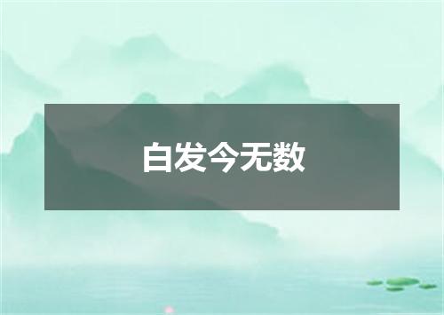 白发今无数