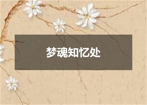 梦魂知忆处