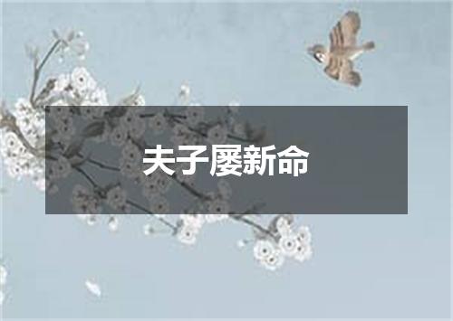 夫子屡新命