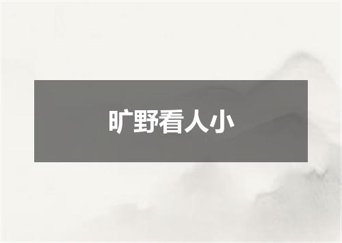 旷野看人小