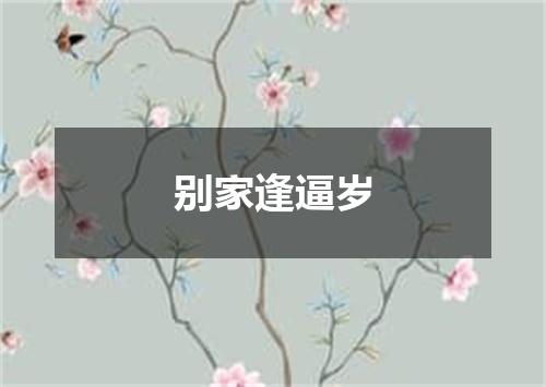 别家逢逼岁