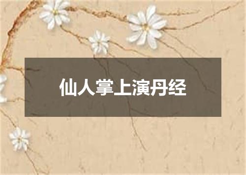 仙人掌上演丹经
