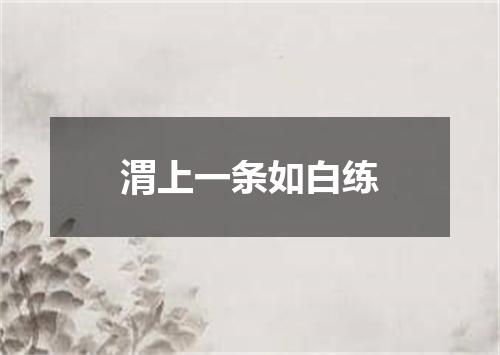 渭上一条如白练
