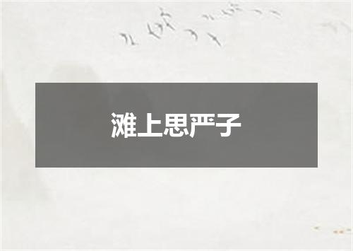 滩上思严子