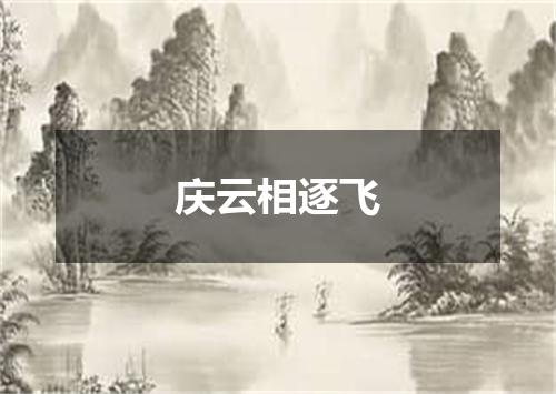 庆云相逐飞