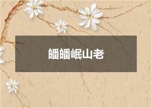 皤皤岷山老
