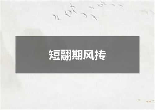 短翮期风抟