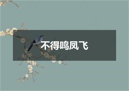 不得鸣凤飞