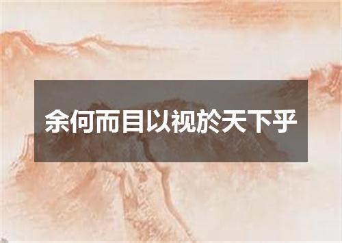 余何而目以视於天下乎