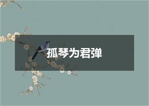 孤琴为君弹
