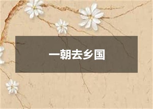 一朝去乡国