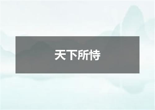 天下所恃