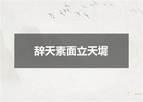 辞天素面立天墀