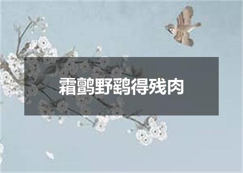霜鹯野鹞得残肉