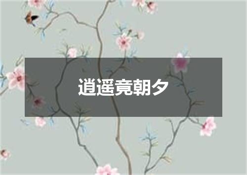 逍遥竟朝夕