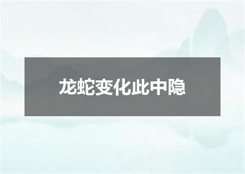 龙蛇变化此中隐