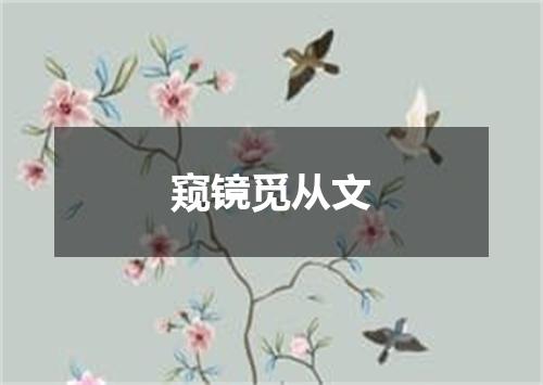 窥镜觅从文