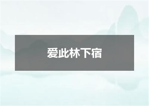 爱此林下宿