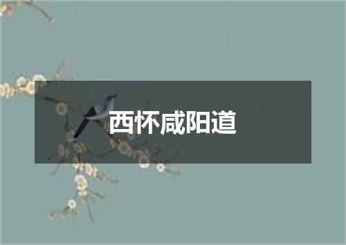 西怀咸阳道