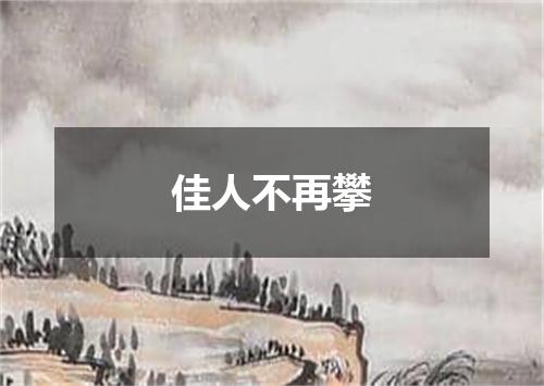 佳人不再攀