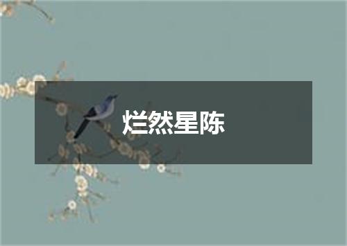 烂然星陈