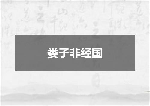 娄子非经国
