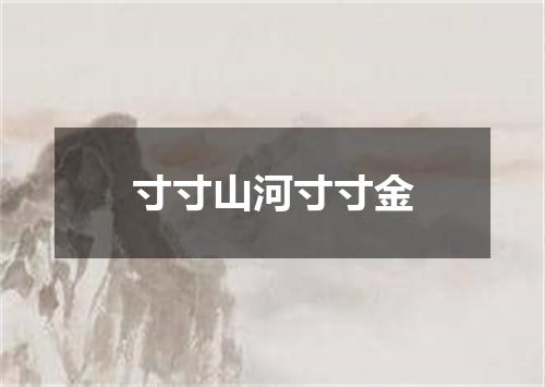 寸寸山河寸寸金