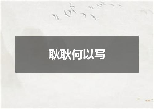 耿耿何以写